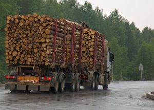 Prix d’un camion de grumes de bois