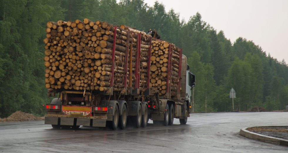 Prix d’un camion de grumes de bois
